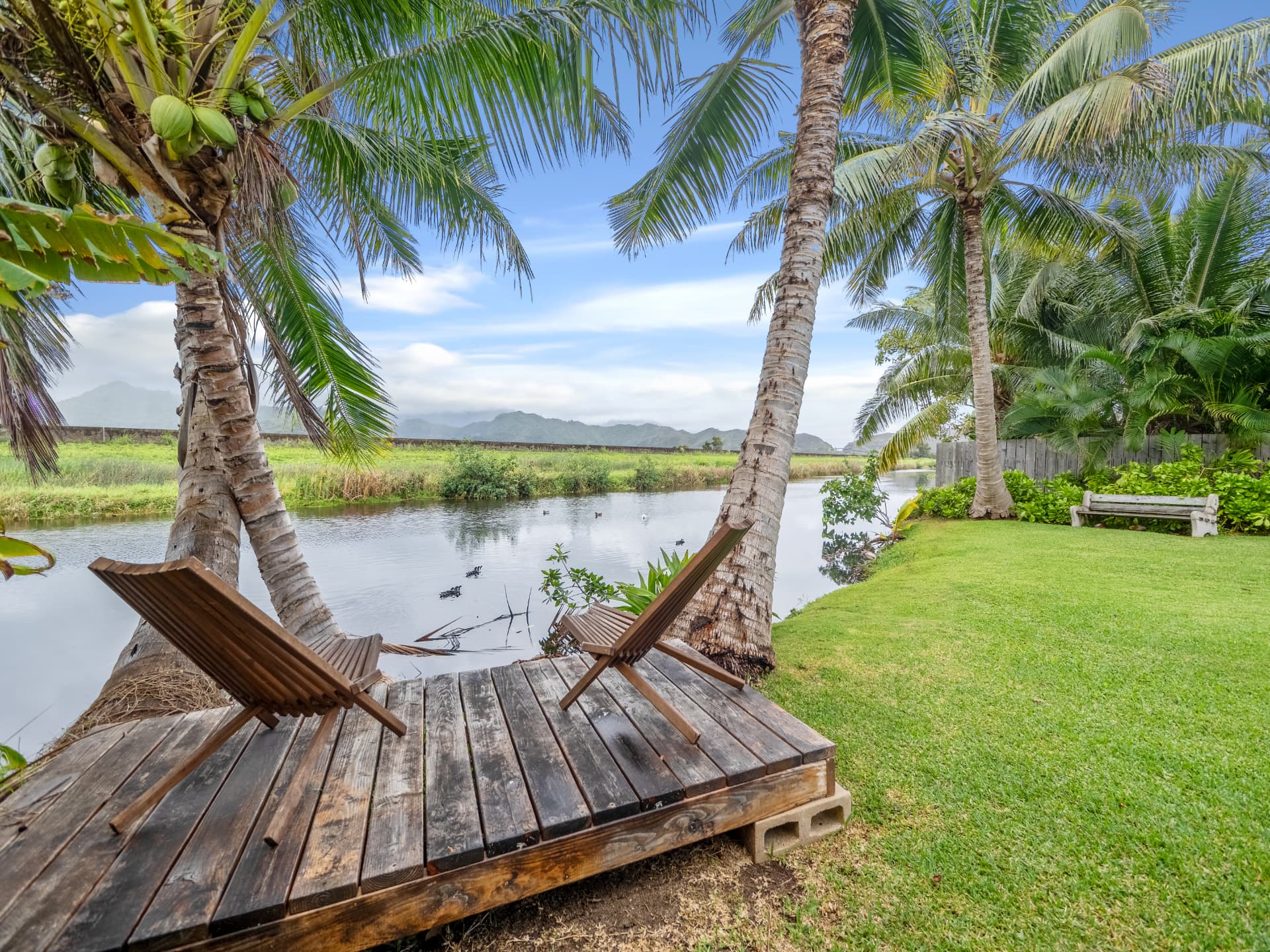 Waterfront deck with lounge chairs under coconut palms